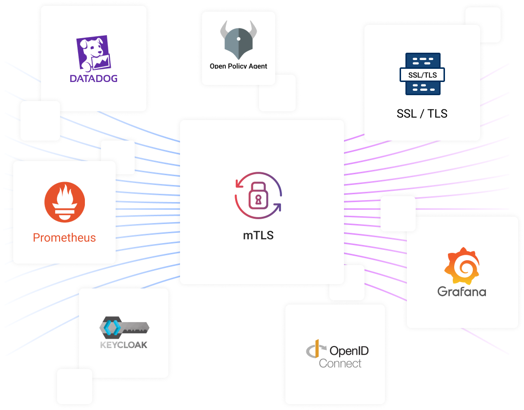 Securing API Access