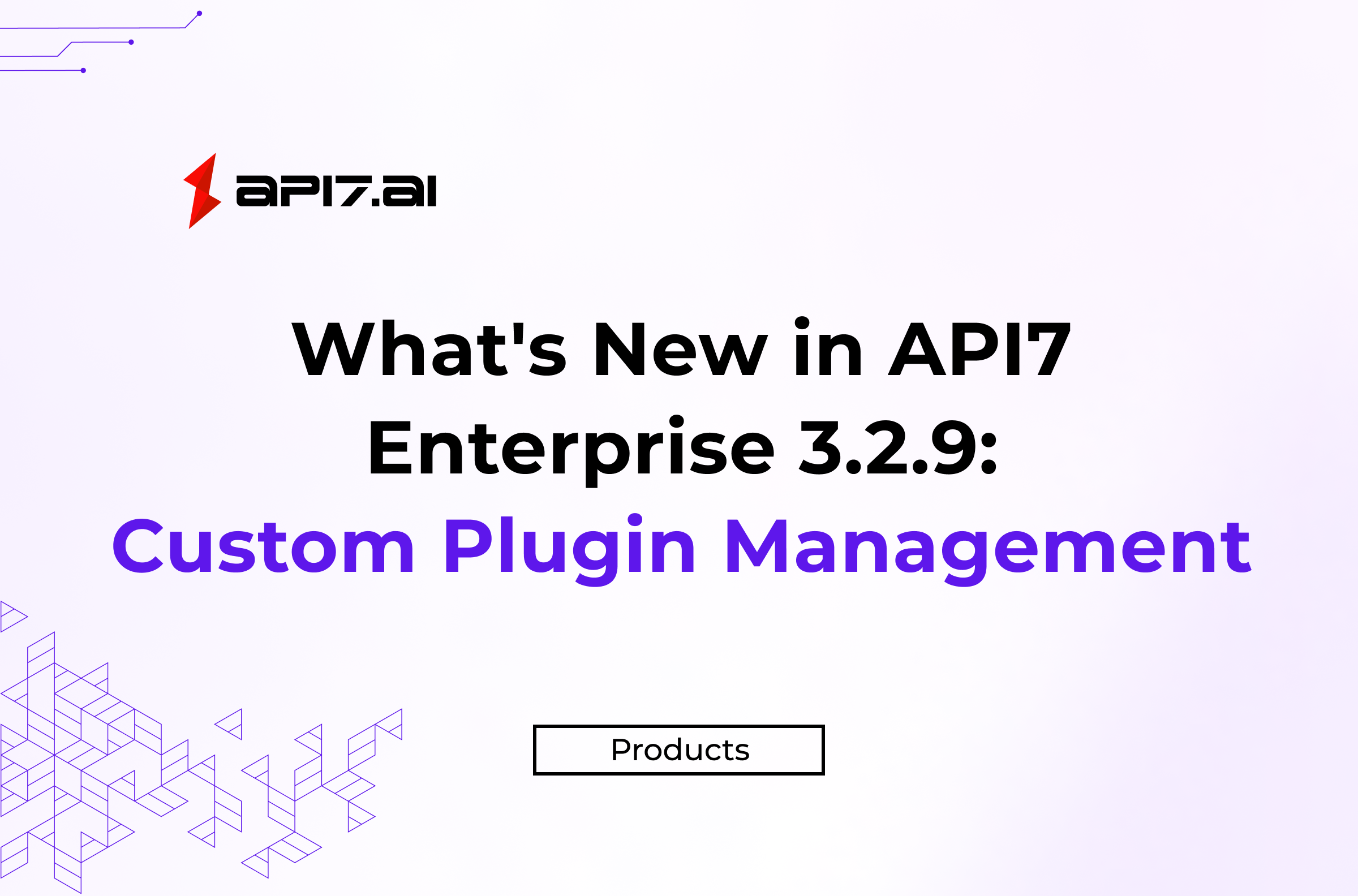 What's New in API7 Enterprise 3.2.9: Custom Plugin Management