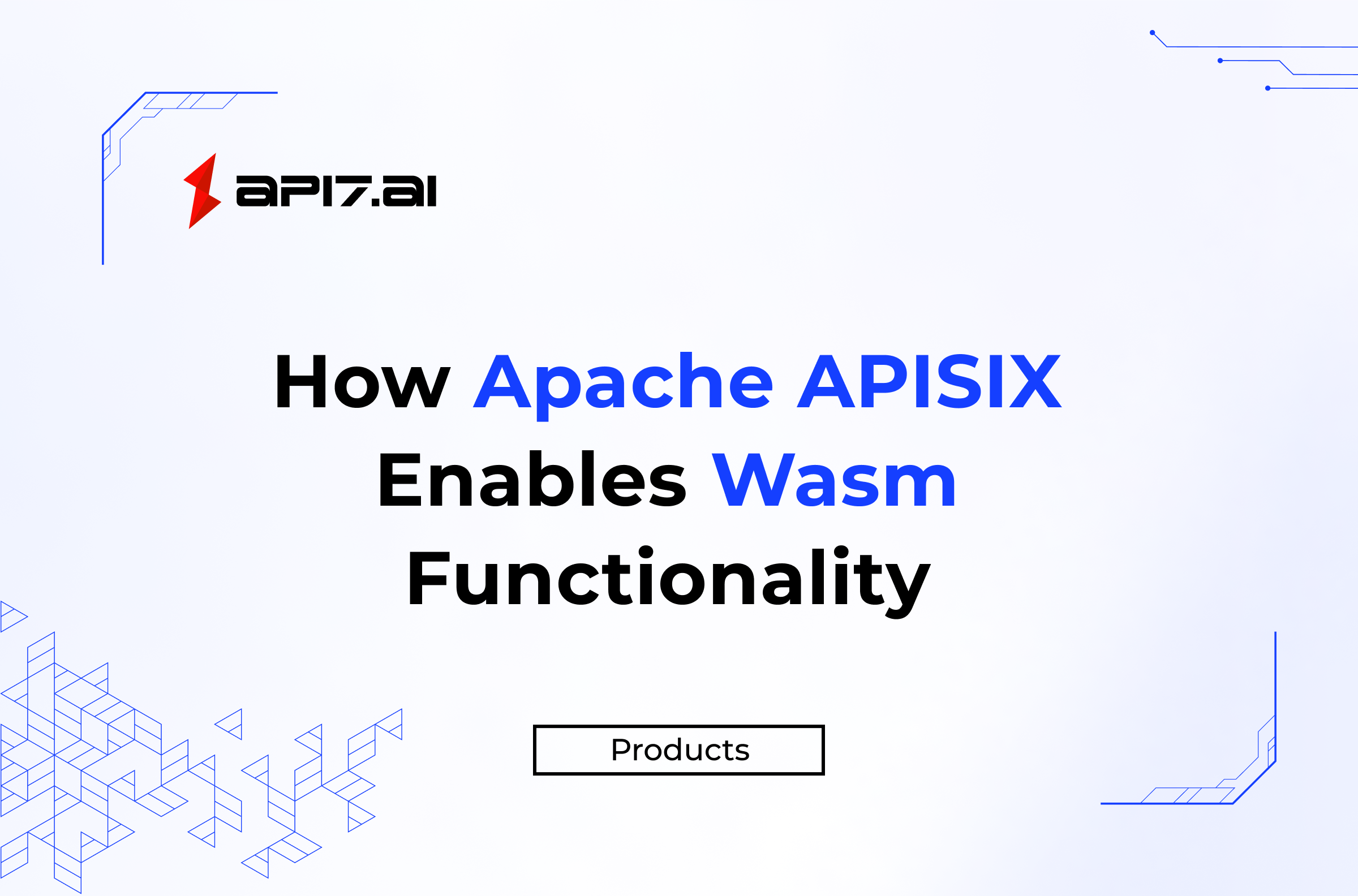 How Apache APISIX Enables Wasm Functionality