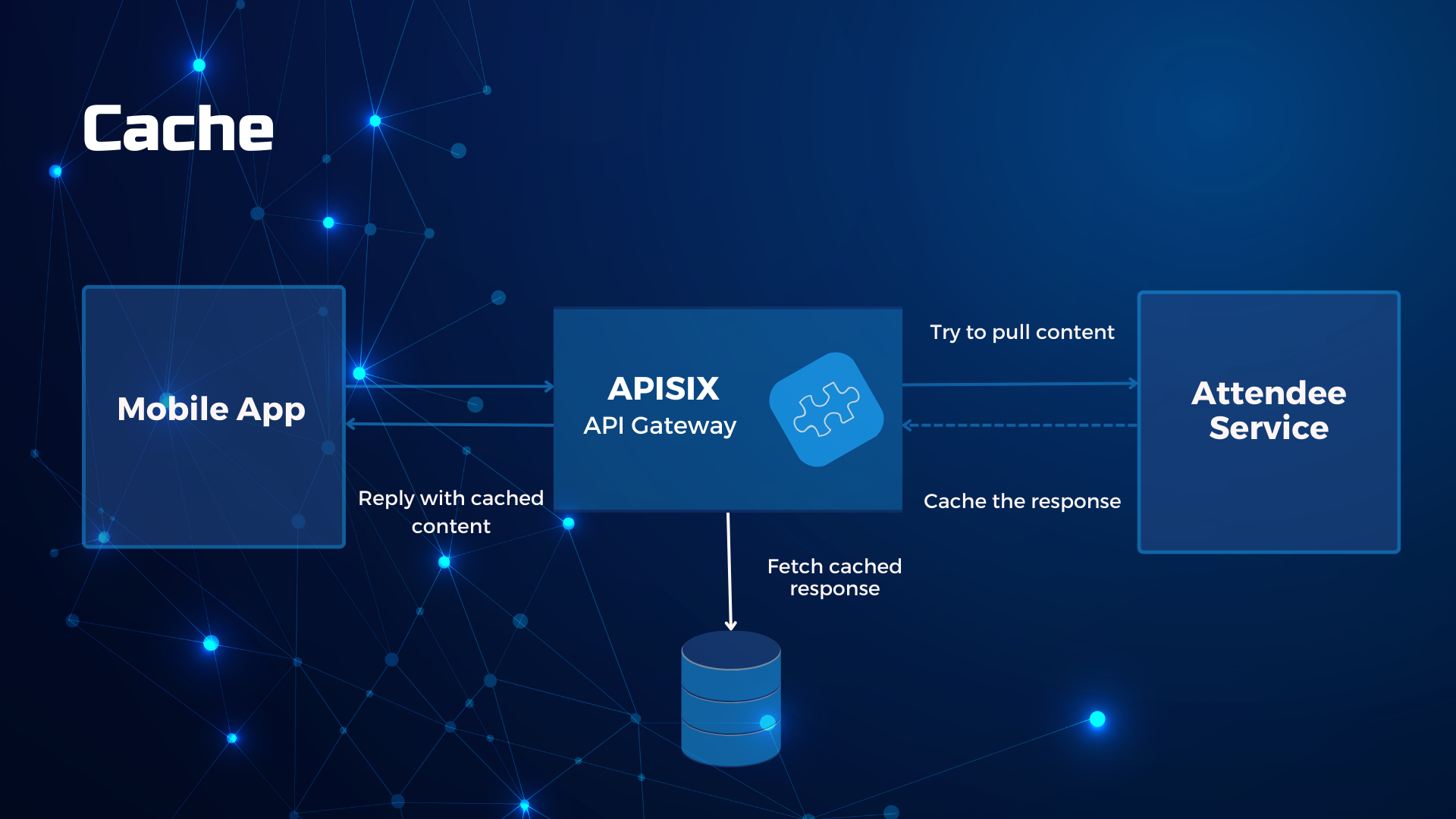 Implementing resilient applications Cache