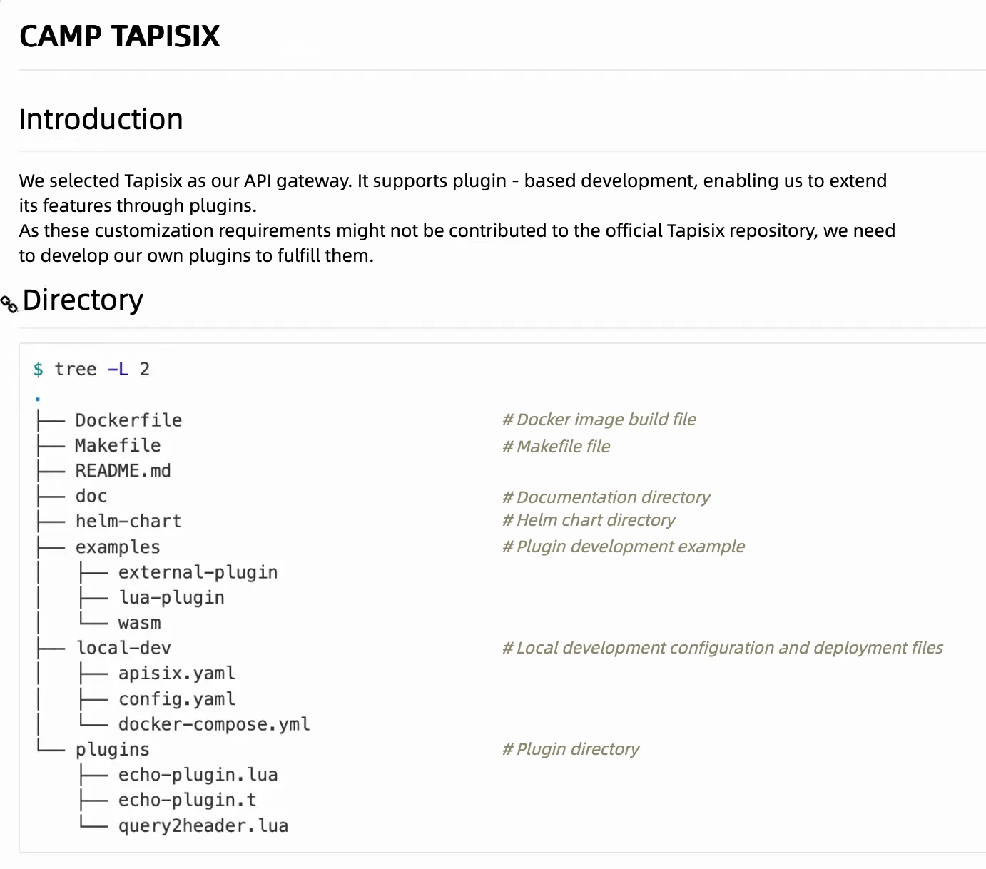 TAPISIX Project Introduction