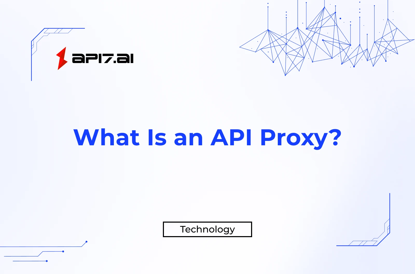 What Is an API Proxy?