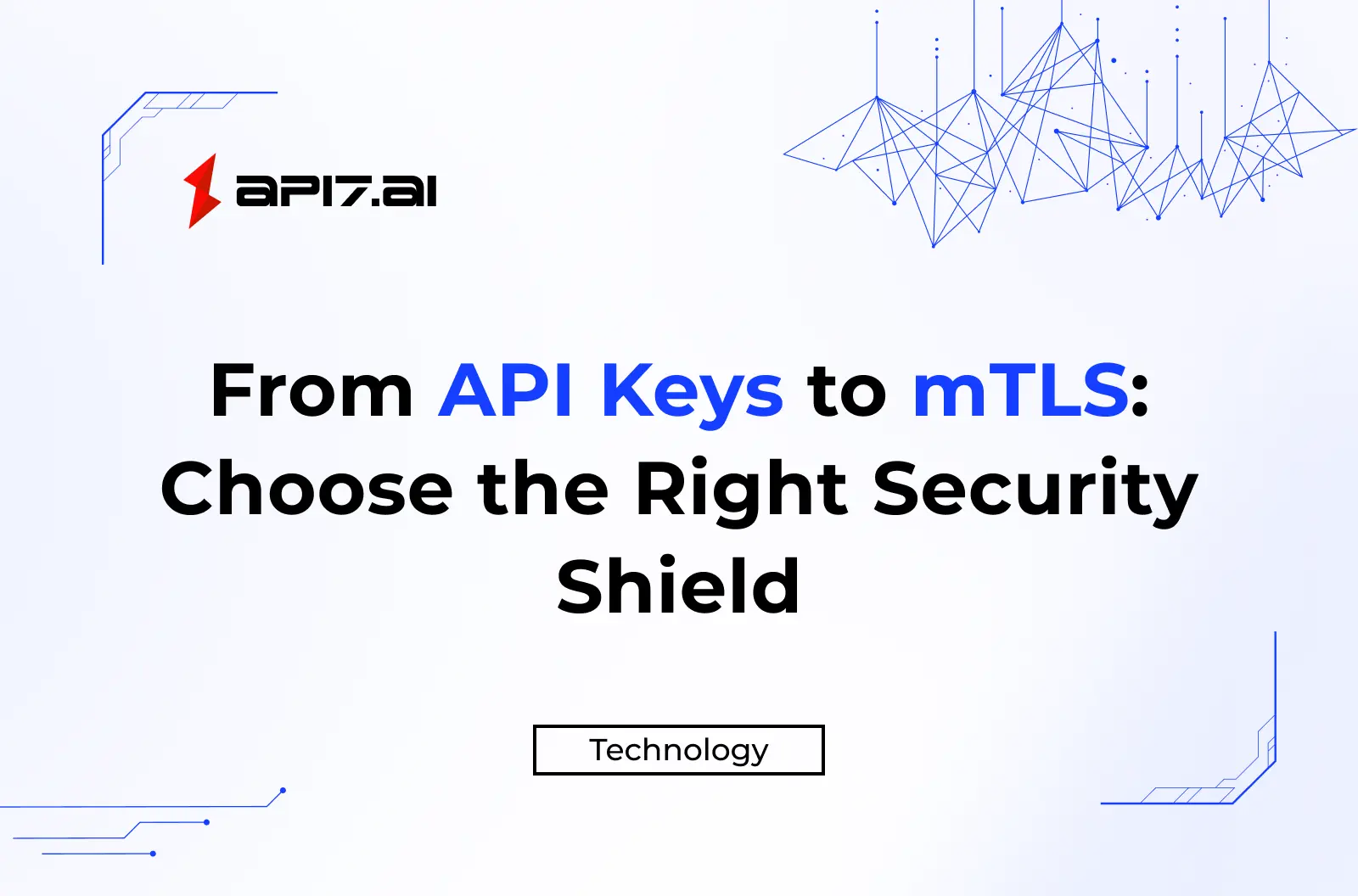 From API Keys to mTLS: Choose the Right Security Shield for Any Endpoint