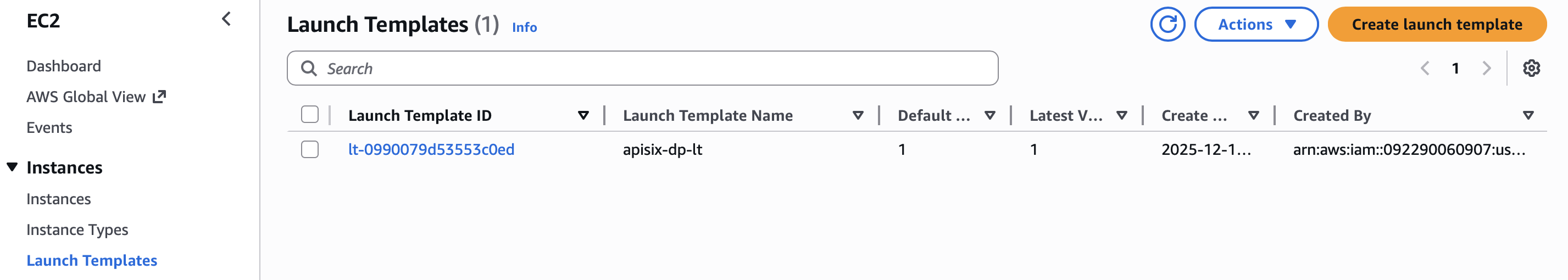 The created launch template in AWS