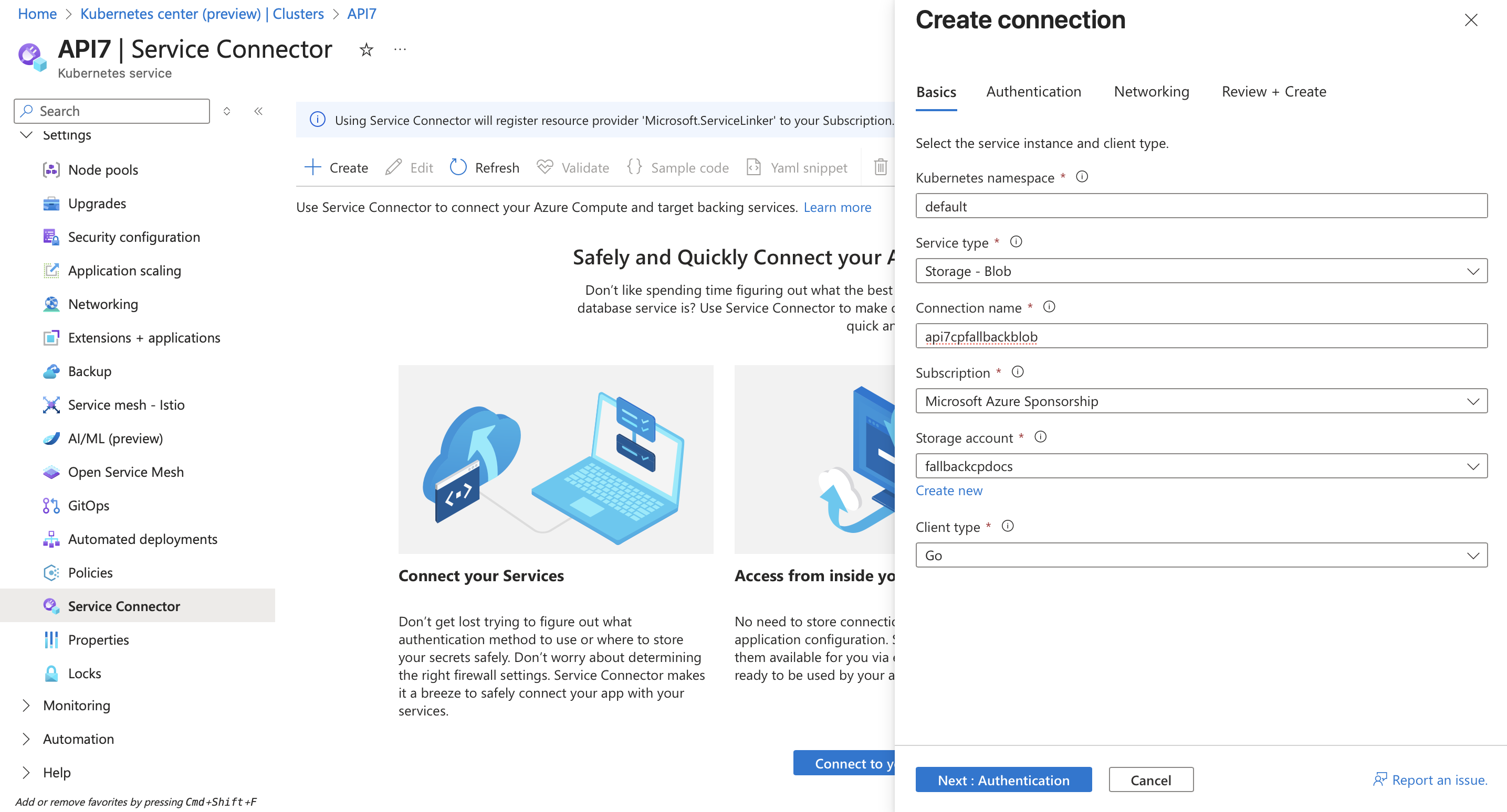 Service Connection Basics tab configuration