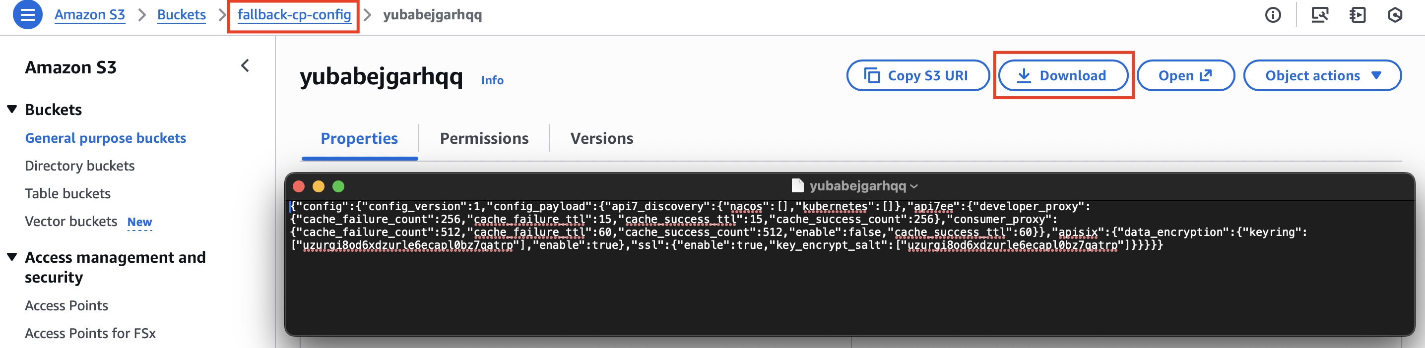 fallback-cp-config bucket file