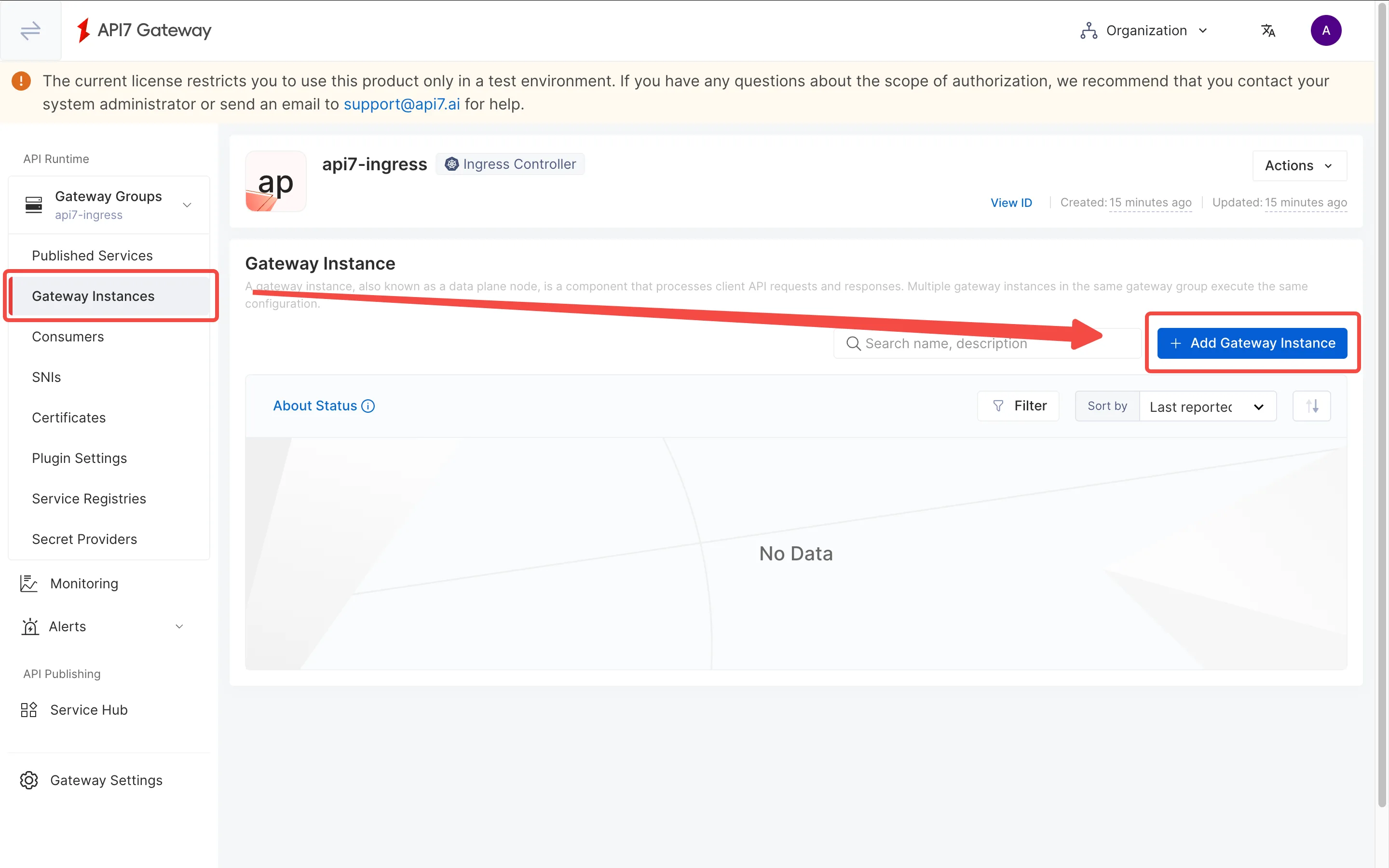 Active Gateway Instance