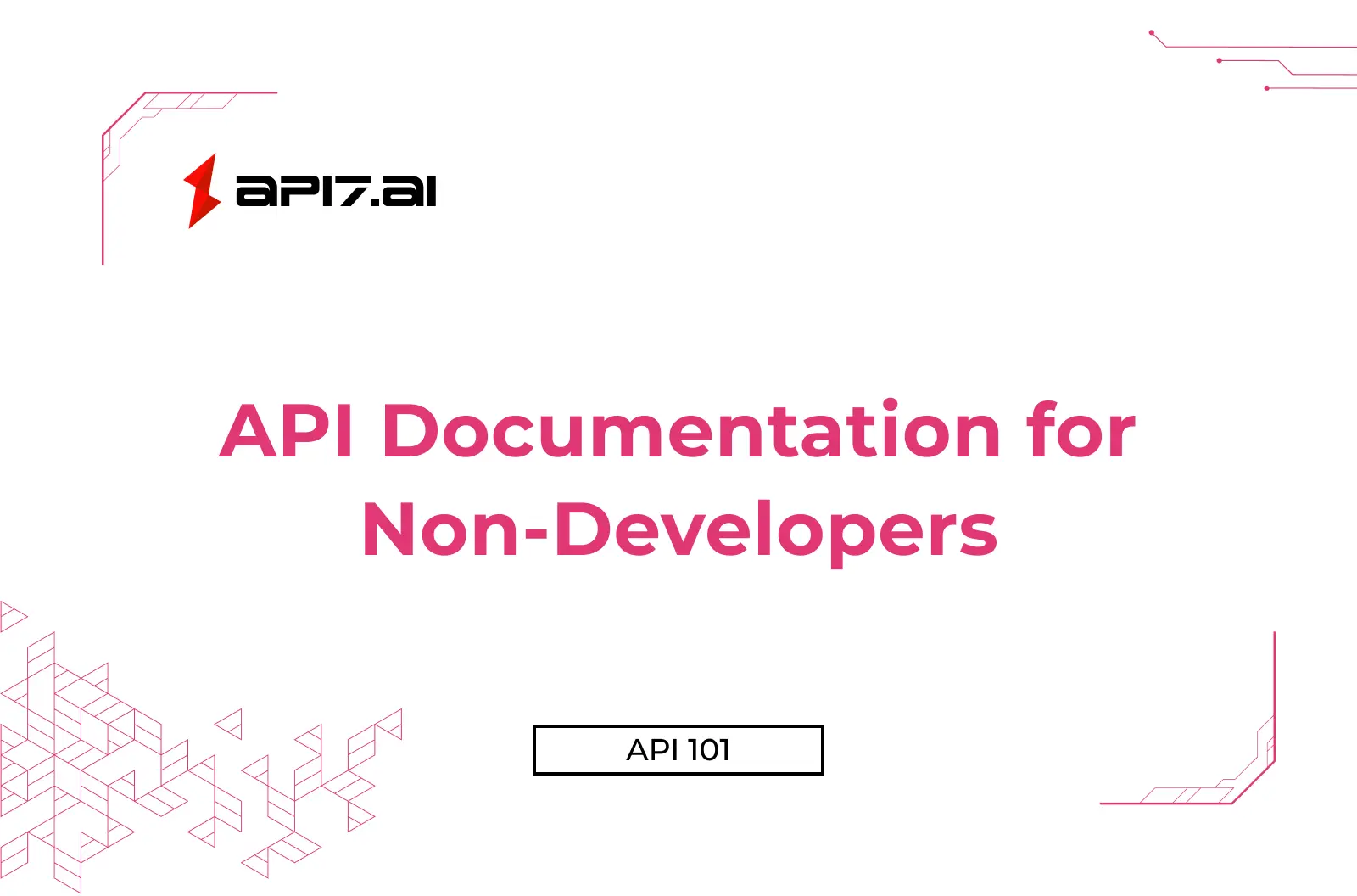 API Documentation for Non-Developers
