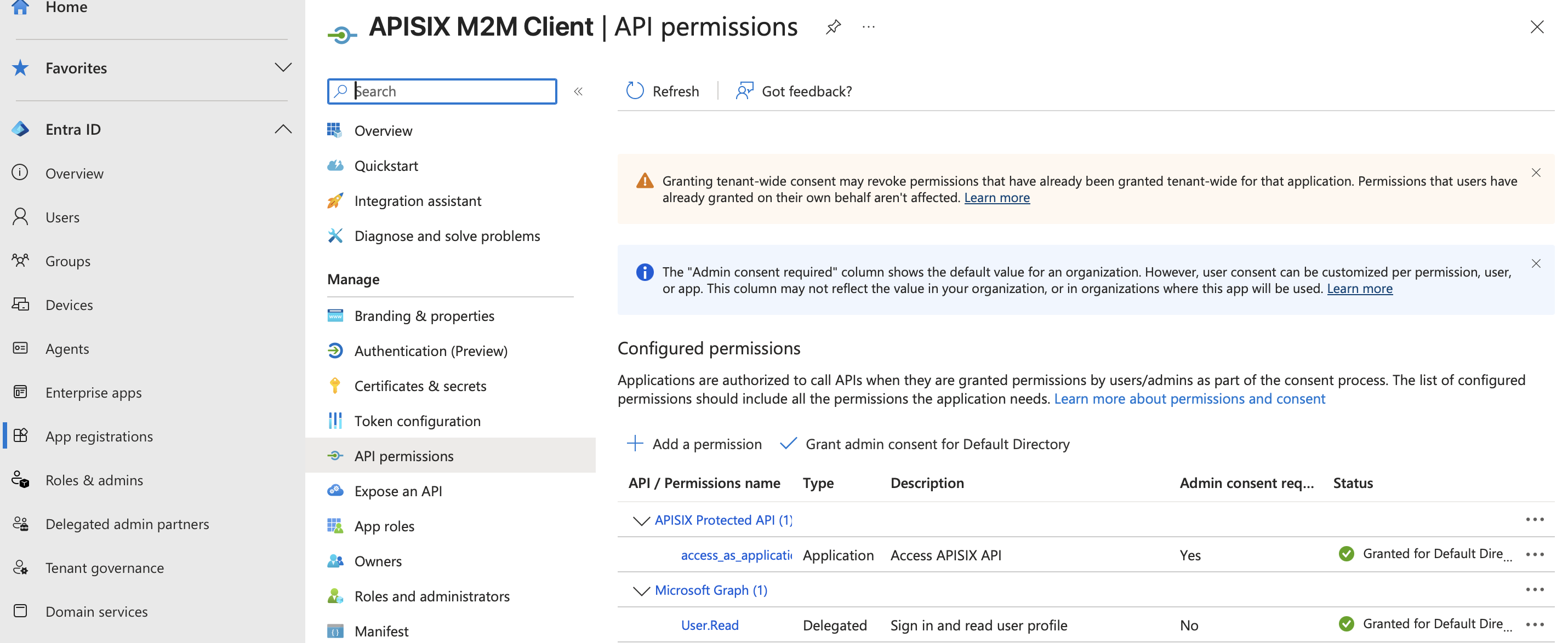 Application permission granted to the Microsoft Entra M2M client